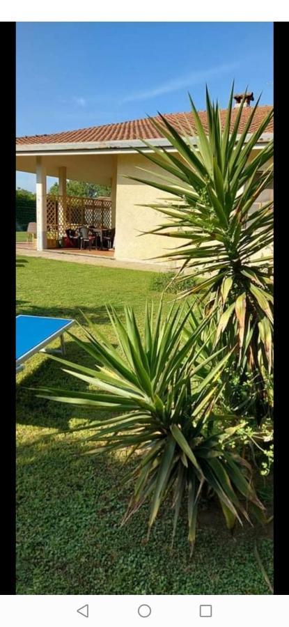 Green Garden Viareggio Exterior foto